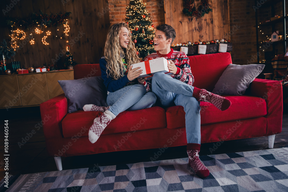 Full size photo of lovely young couple sit sofa receive gift dressed christmas outfit day light home party decoration interior room Full size photo of lovely young couple sit sofa receive gift dressed christmas outfit day light home party decoration interior room