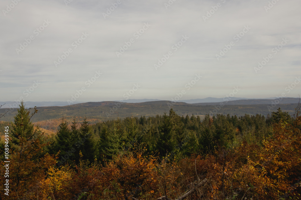 panorama wzgórz i lasów rozciągająca się ze szczytu góry panorama wzgórz i lasów rozciągająca się ze szczytu góry