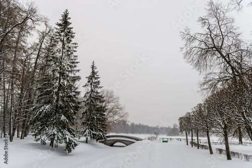 Winter park, stone bridge and trees in the snow