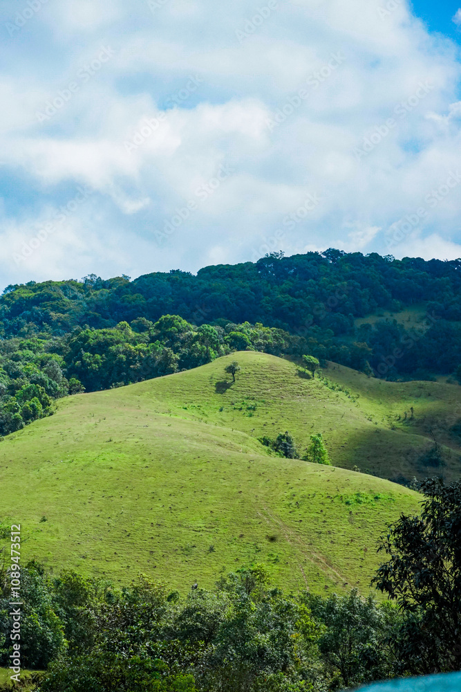 Scenic green hills countryside nature photography lush landscape wide angle view serenity in nature Scenic green hills countryside nature photography lush landscape wide angle view serenity in nature