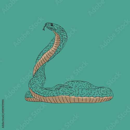 vector illustration of a cobra snake in black abstract line style with a turquoise green screen
