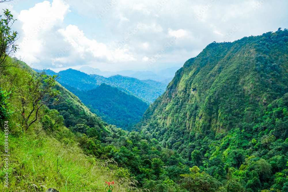 Exploring majestic mountain valleys lush green forests nature photography scenic landscape outdoor adventure tranquil environment Exploring majestic mountain valleys lush green forests nature photography scenic landscape outdoor adventure tranquil environment
