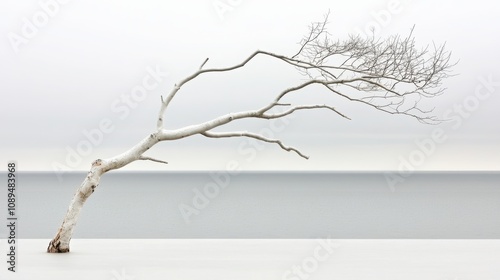 A stark, minimalist image of a bare tree branch stretching across a muted background, evoking themes of resilience and solitude.
