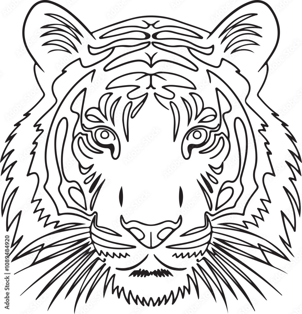 white tiger head white tiger head