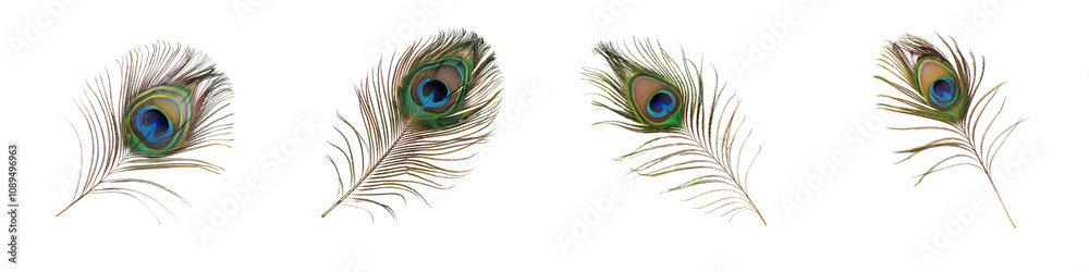 Obraz premium Elegant Peacock Feathers with Vibrant Eye Patterns for Decoration and Design on transparent background