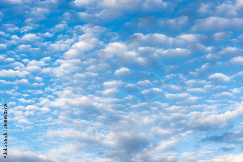 Naklejka premium Diferentes formaciones de nubes en el cielo azul por la tarde