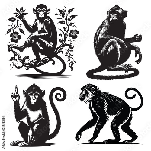 Monkey Black and white silhouette white Background