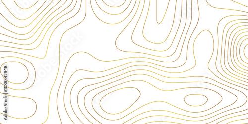 Abstract wave paper curved reliefs background .gradient multicolor wave curve lines banner background design .topographic contours map background .Vector geographic contour map.	