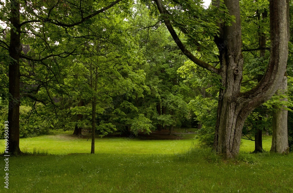 Fototapeta premium View of the spa park full of flowers Konstantinovy ​​lazne (konstantinsbad) czech republic Europe