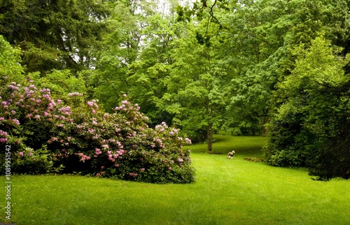 View of the spa park full of flowers Konstantinovy ​​lazne (konstantinsbad) czech republic Europe photo