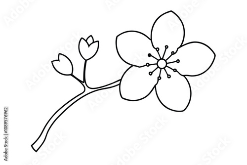 Cute cherry blossom line art vector illustration