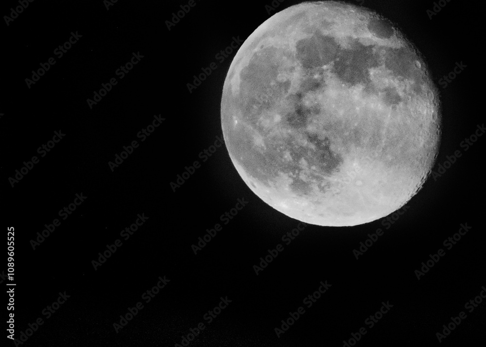 Fototapeta premium Luna llena en blanco y negro