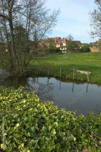 Riviere La Grosne, nenuphar, Cormatin, 71,région Bourgogne Franche Comté, Saône et Loire, France photo