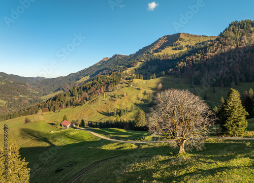 panoramic aerial view in Au...