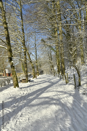 La route pour la promenade entourant l'étang des Pêcheurs sous la neige à Auderghem 