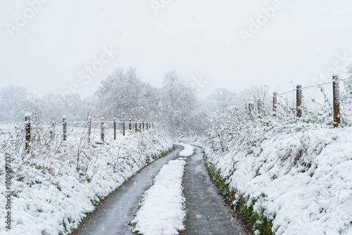 Picturesque country Lane during a snow storm, Rural road during a blizzard