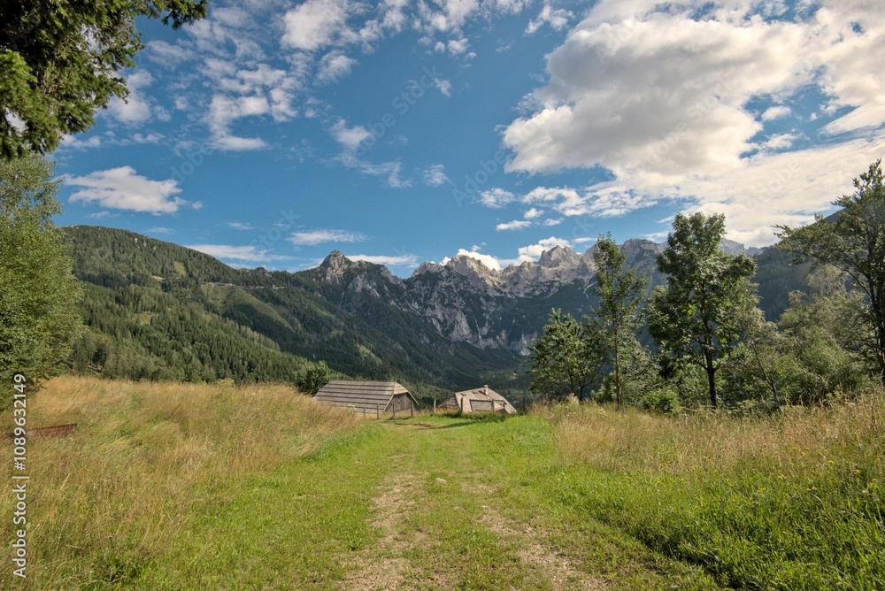 Stunning summer scenery with alpine meadows and mountains in Austria. Stunning summer scenery with alpine meadows and mountains in Austria.