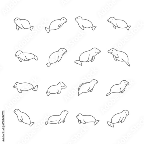 Fourteen Gray Outline Drawings of Harbor Seals in Various Poses