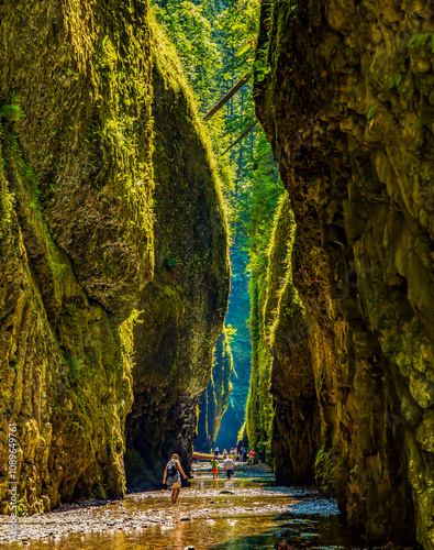Wall Mural Columbia River Gorge, Oregon - about a dozen hikers in Oneonta Gorge, Columbia River Gorge National Scenic Area