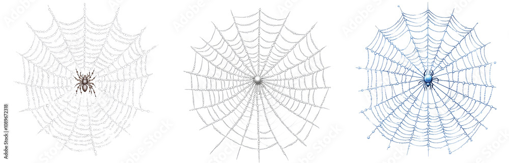 Obraz premium intricate spider webs with colorful highlights and detailed patterns transparent background
