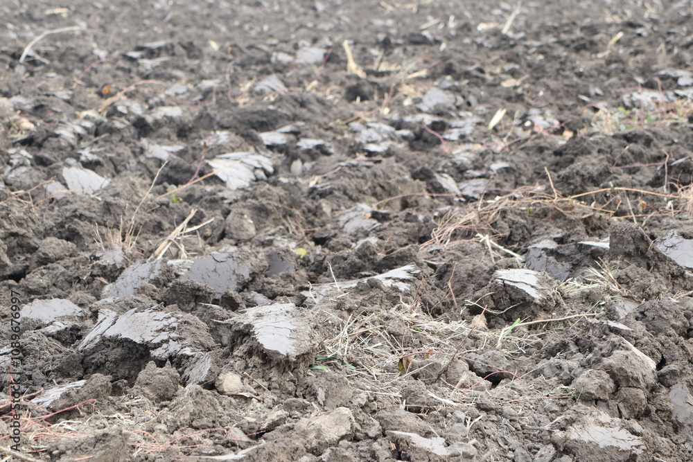 A Plowed Agricultural Field Prepared and Ready for Planting New Crops and Vegetables A Plowed Agricultural Field Prepared and Ready for Planting New Crops and Vegetables