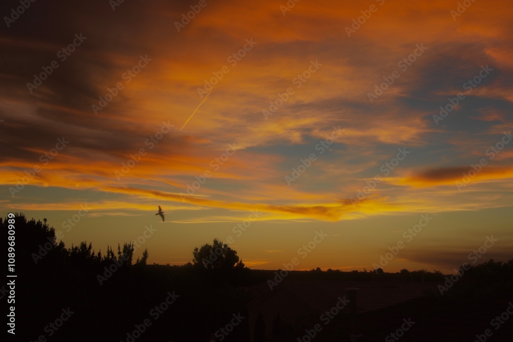 Obraz premium A Warm Sunset 