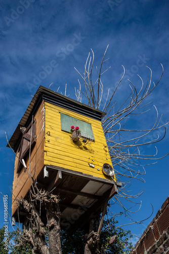 Casa de madera amarilla en el árbol photo