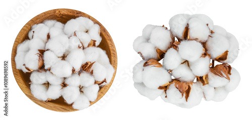 Cotton plant flower in wooden bowl isolated on white background with full depth of field. Top view. Flat lay photo