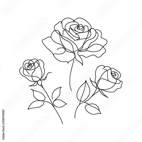 Roses, continuous one line sketch. Line art flower. Hand drawn vector art