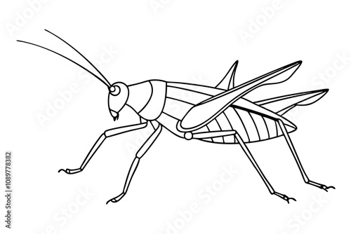 Elegant Line Drawing of a Grasshopper Minimalist Art Inspiration