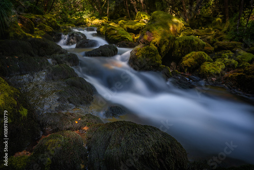 Fast river in the incredible wild and pure nature of Triglav National Park in Slovenia.