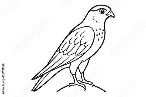 Minimalist Line Drawing of a Kestrel Elegant Bird Illustration in Artful Simplicity