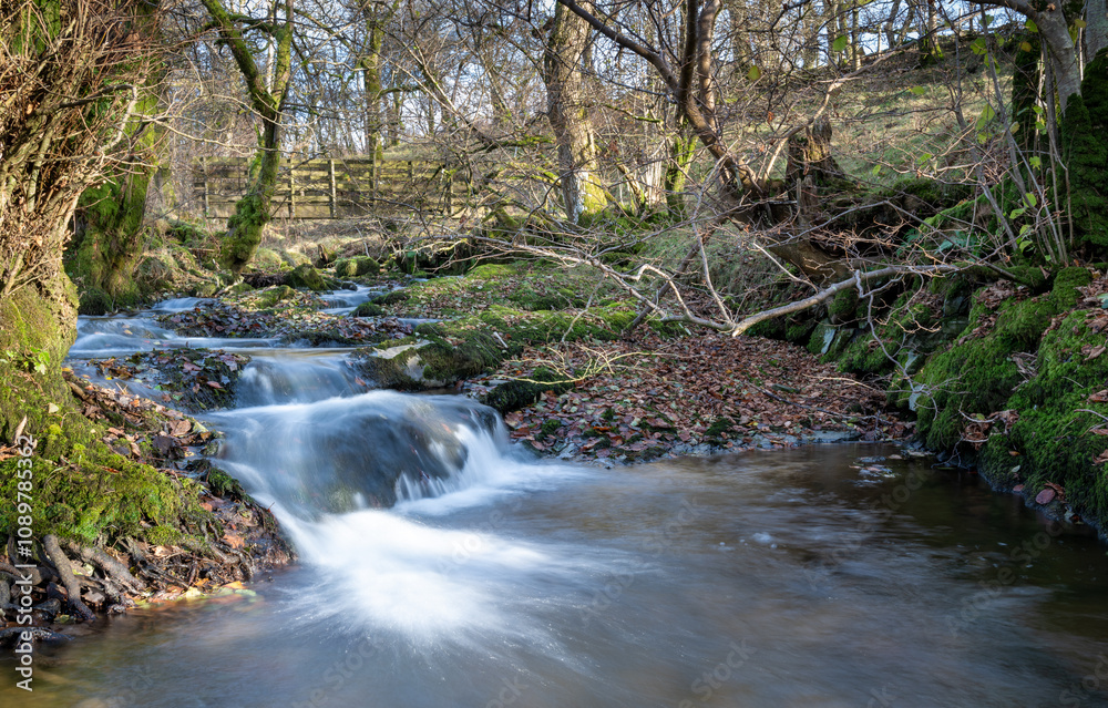 Obraz premium river in flow