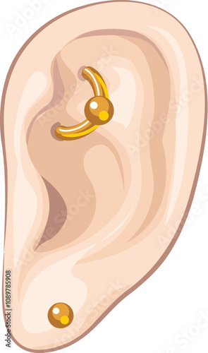 Ear showing golden helix and lobe piercings, illustrating body art and personal expression