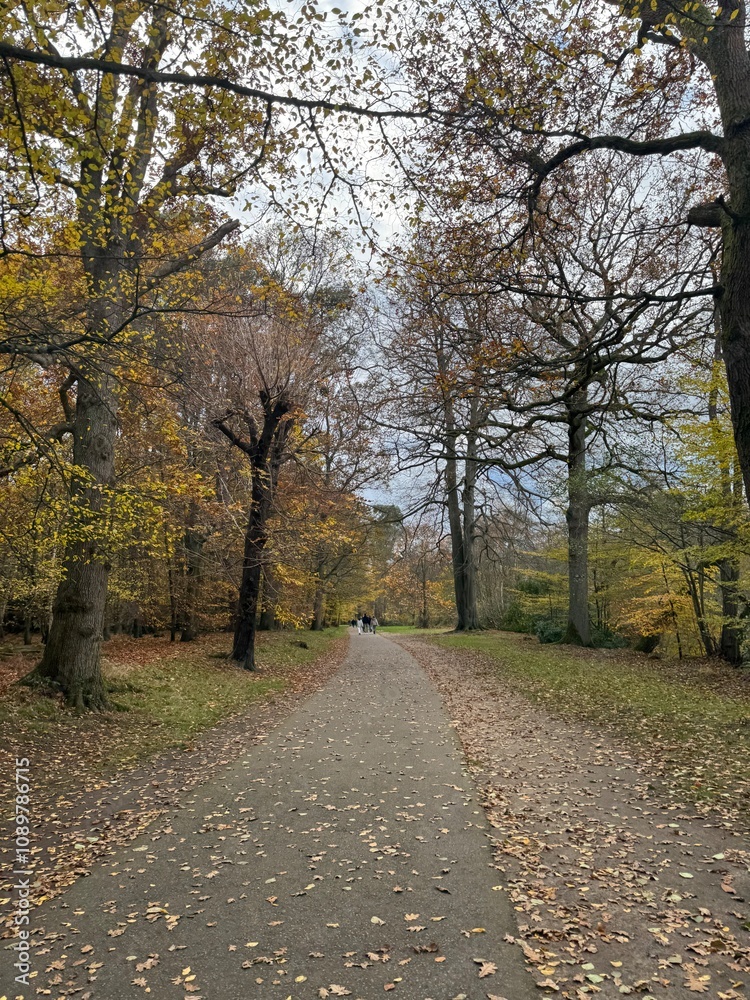 Obraz premium Autumn scenes 