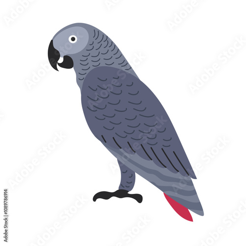 African grey parrot icon clipart avatar logotype isolated illustration