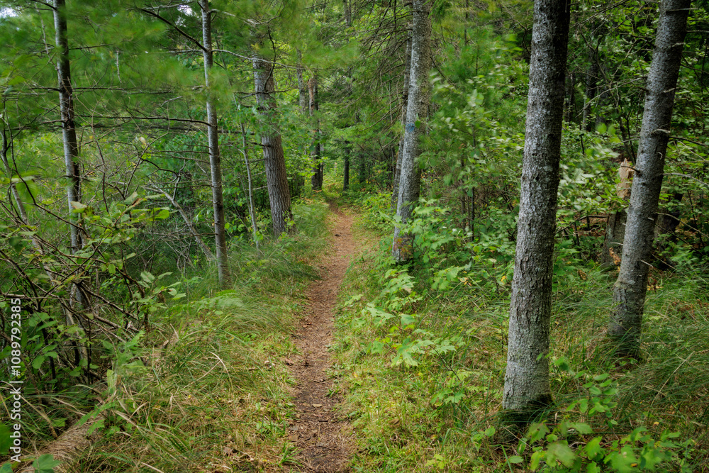 Obraz premium Isolated Path