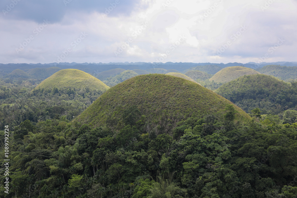 Fototapeta premium Chocolate Hills, located in Bohol, Philippines