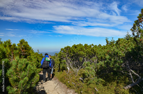 two tourists on the trail from Korbielów to Pilsko in the Beskid Mountains photo