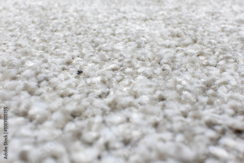 Neutral gray carpet or rug, shot from a low angle. Tilt-shift close-up carpeting