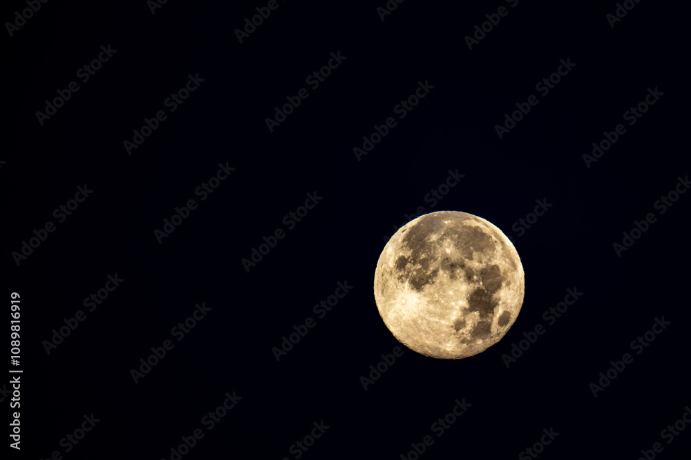 Fototapeta premium Beaver Super Moon morning of November 16, 2024