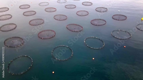 Aerial video of modern feeding fish farming. Large fish production plant on the sea in Black Sea
