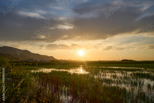 As the sun sets over the rice fields of Cullera, the tranquil beauty of Valencia's landscape feels enchanting during summer evenings.