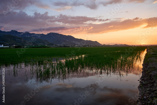 As the sun sets over the rice fields of Cullera, the serene landscape of Valencia transforms into a canvas of vibrant colors.