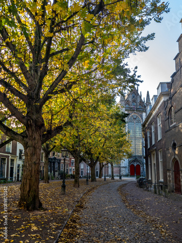 15.11.2024 Leiden, Netherlands,  Hooglandse Kerk or church in the autumn decoration, trees and leaves