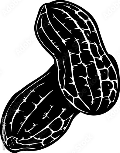Hand-Drawn Illustration of Peanuts