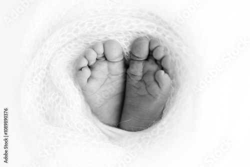 Soft feet of a newborn in a woolen blanket Close-up of toes, heels and feet baby photo