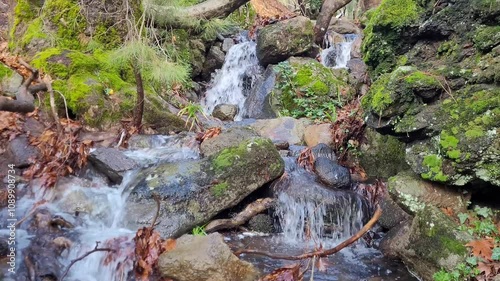 Forest stream flowing over rocks. There are autumn leaves on rocks	