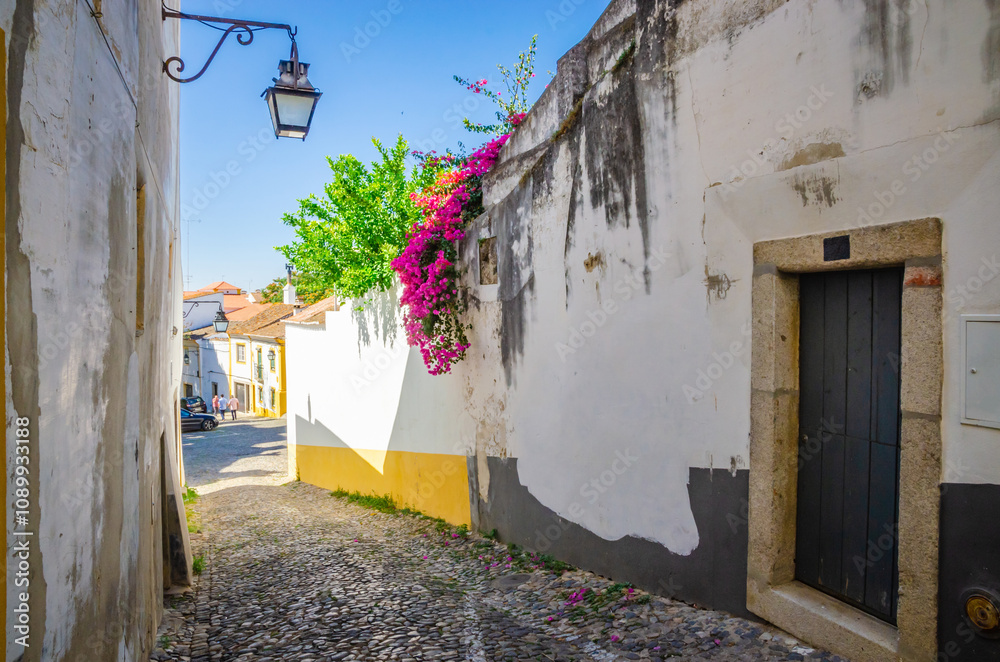 Fototapeta premium Beautiful cozy street and buildings in old town Evora, Portugal
