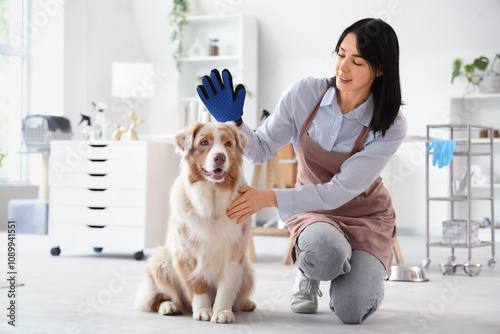 Female groomer with brushin...
